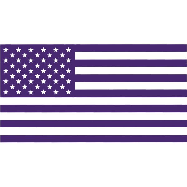 USA Flag 3 5in Purp Thumbnail